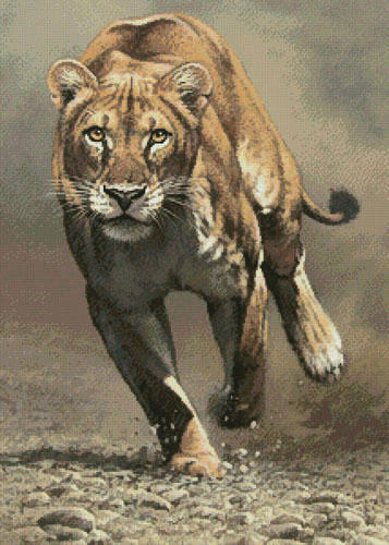 cross stitch pattern Shaya