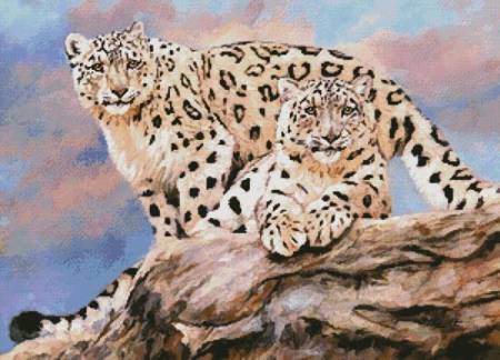 cross stitch pattern Snow Leopards on a Rock
