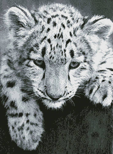 cross stitch pattern Snow Leopard Cub