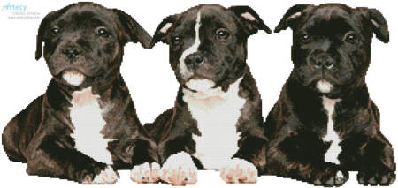 cross stitch pattern Staffordshire Bull Terrier Puppies