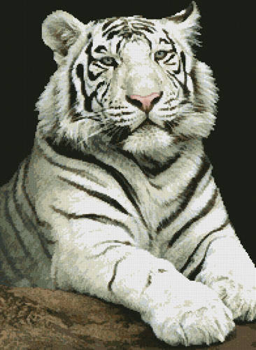 cross stitch pattern The Stare