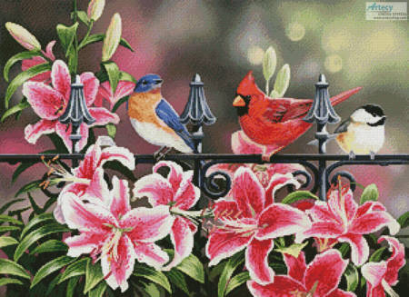 cross stitch pattern Stargazers