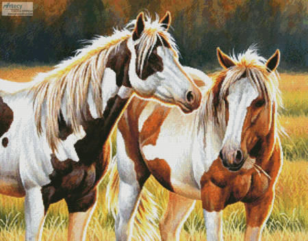 cross stitch pattern Two Paints