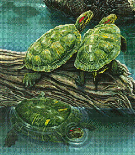 cross stitch pattern Turtle Pond (Crop)