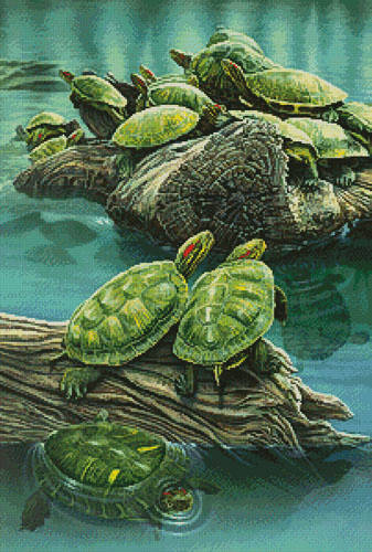 cross stitch pattern Turtle Pond