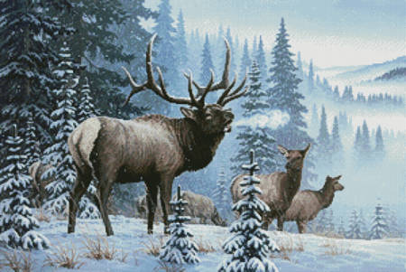 cross stitch pattern Winter Elk