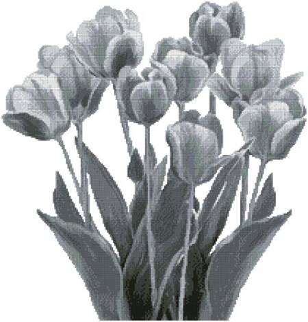 cross stitch pattern Black and White Tulips