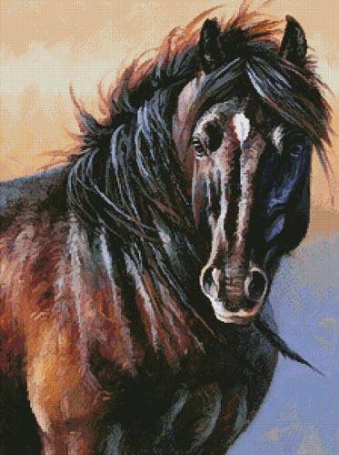 cross stitch pattern Black Stallion