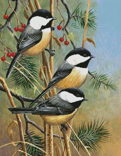 cross stitch pattern Chickadees