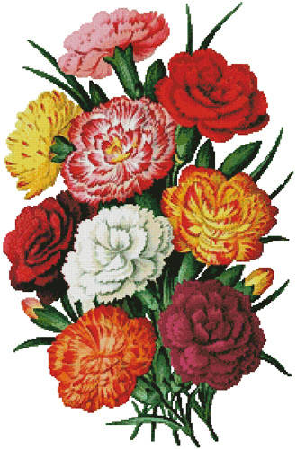 cross stitch pattern Carnations 3