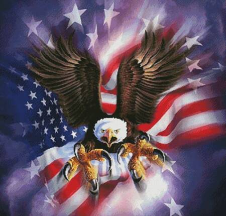 cross stitch pattern Eagle Burst