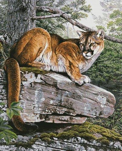 cross stitch pattern Eastern Cougar