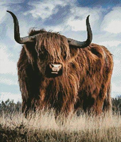 cross stitch pattern Highland Bull (Crop)