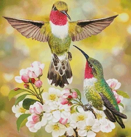 cross stitch pattern Hummingbird Challenger