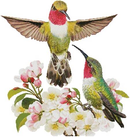 cross stitch pattern Hummingbird Challenger (No Background)