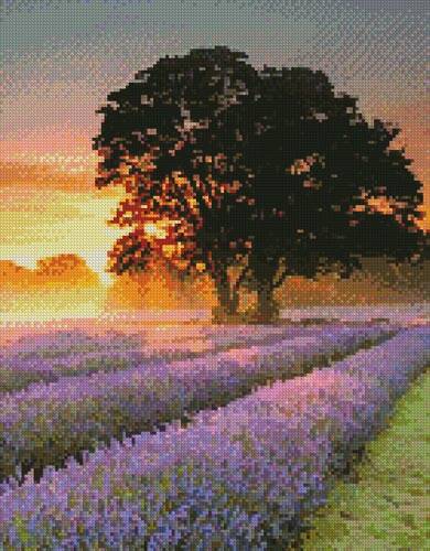 cross stitch pattern Mayfair Lavender at Sunrise (Crop)