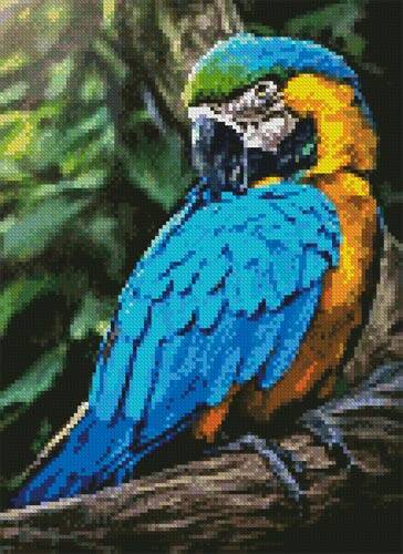 cross stitch pattern Mini Macaw Profile