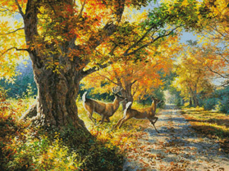 cross stitch pattern Morning Run