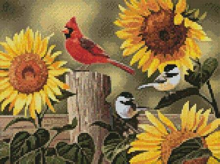 cross stitch pattern Mini Sunflowers and Songbirds
