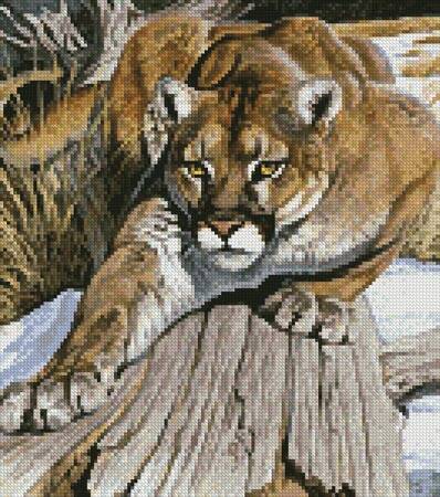 cross stitch pattern Mini Up Close