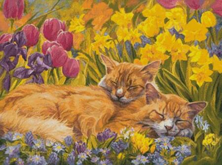 cross stitch pattern Naptime