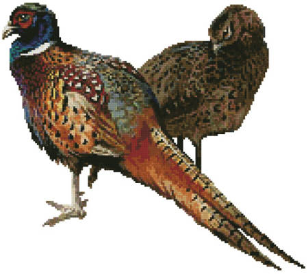 cross stitch pattern Pheasants (No Background)