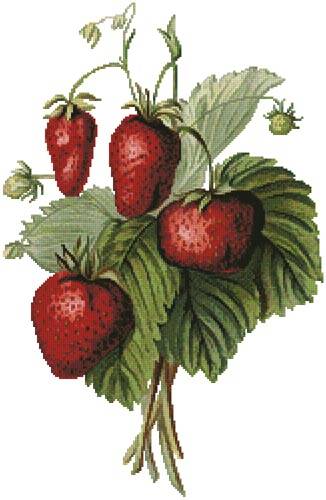 cross stitch pattern Strawberries Painting