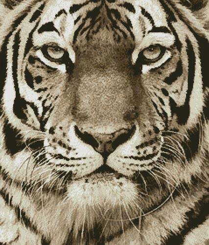 cross stitch pattern Tiger Portrait (Sepia)
