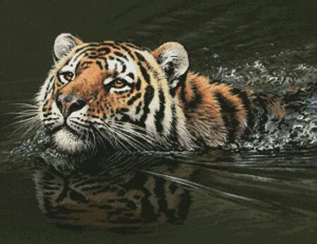 cross stitch pattern Bengal Crossing