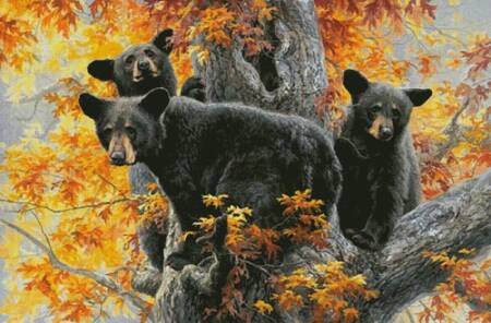 cross stitch pattern Beary Tree (Large)