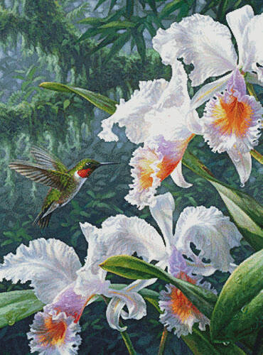 cross stitch pattern The Canadian Ambassador (Large Crop)