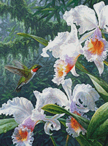 cross stitch pattern The Canadian Ambassador (Crop)