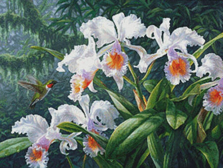 cross stitch pattern The Canadian Ambassador