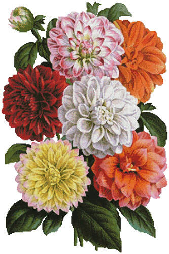cross stitch pattern Dahlias Print