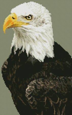 cross stitch pattern Mini Bald Eagle Portrait