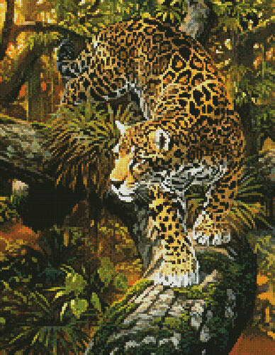 cross stitch pattern Mini High Intensity