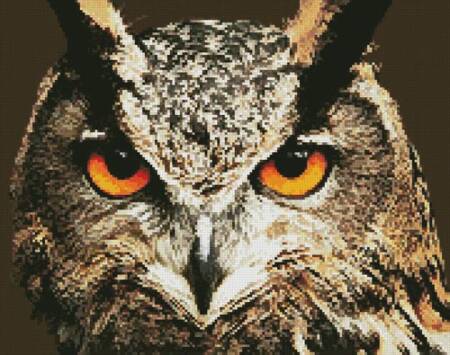 cross stitch pattern Mini Owl Close Up