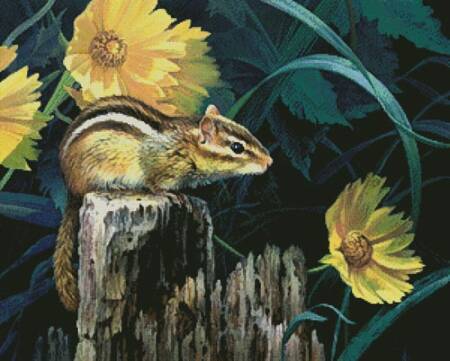 cross stitch pattern Out for a Peek