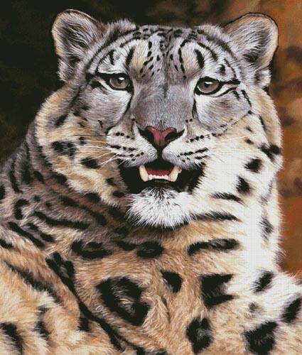 cross stitch pattern Snow Leopard Close Up (Large)