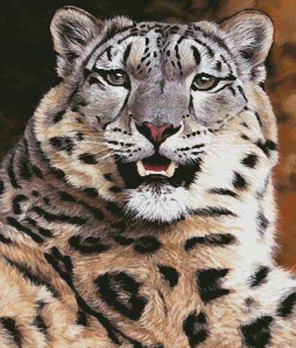 cross stitch pattern Snow Leopard Close Up