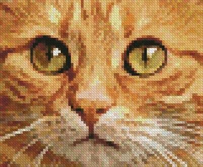 cross stitch pattern Tiny Ginger Cat Close Up