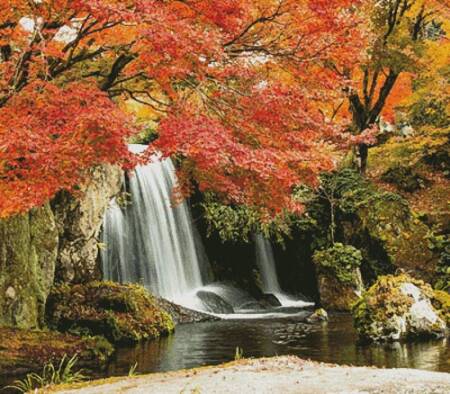 cross stitch pattern Autumn Waterfall (Large Crop)