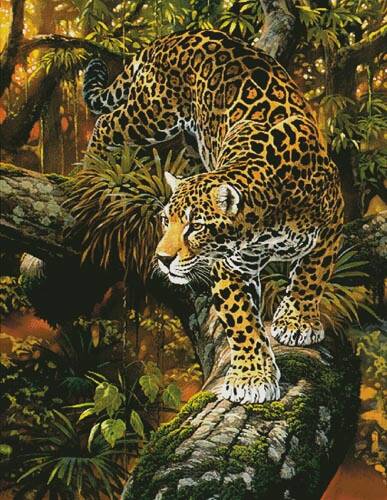 cross stitch pattern High Intensity (Large)