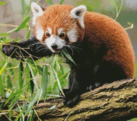 cross stitch pattern Mini Red Panda