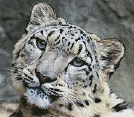 cross stitch pattern Mini Snow Leopard 3