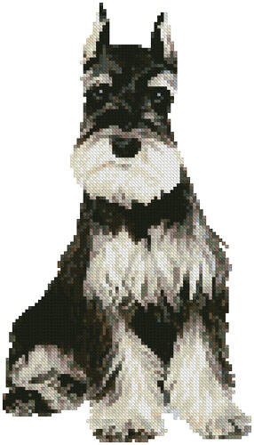 cross stitch pattern Mini Schnauzer 2