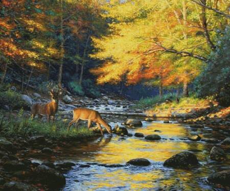 cross stitch pattern Quiet Encounter (Large)