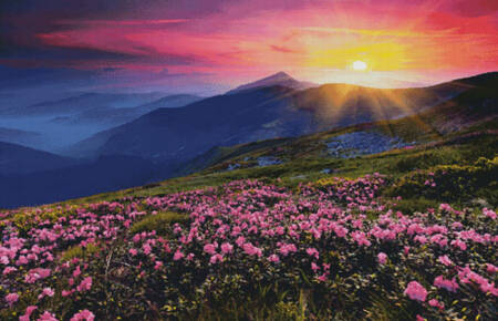 cross stitch pattern Rhododendron Mountain Sunset (Large)