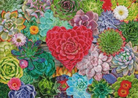 cross stitch pattern Succulent Love