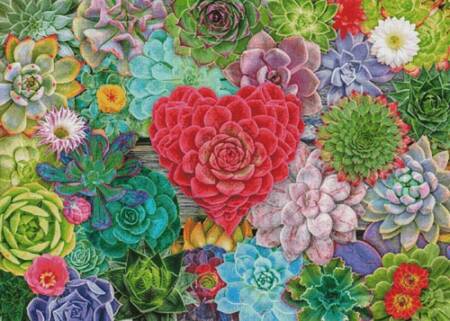 cross stitch pattern Succulent Love (Large)